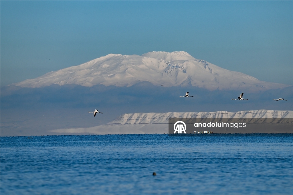 Van Gölü'nün misafirlerine kar sürprizi
