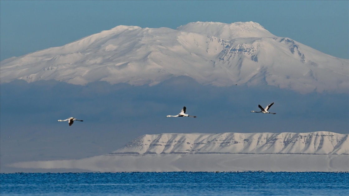 Van Gölü'nün misafirlerine kar sürprizi