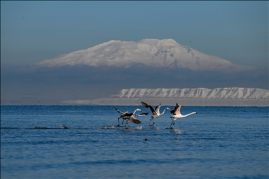 Снежный сюрприз для гостей озера Ван