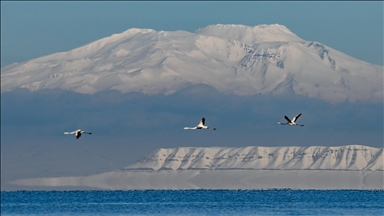 Van Gölü'nün misafirlerine kar sürprizi