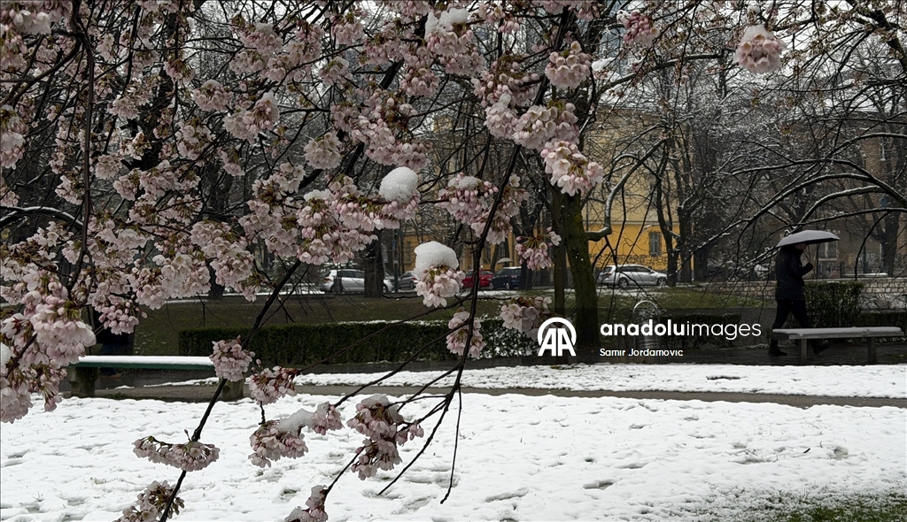 Snijeg prekrio behar u Sarajevu