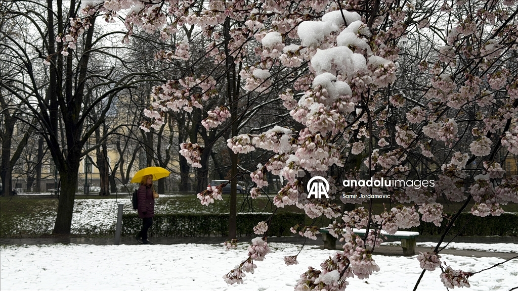 Snijeg prekrio behar u Sarajevu