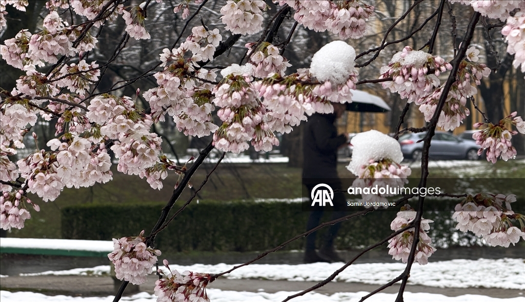 Snijeg prekrio behar u Sarajevu