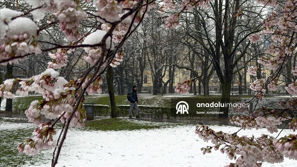 Snijeg prekrio behar u Sarajevu