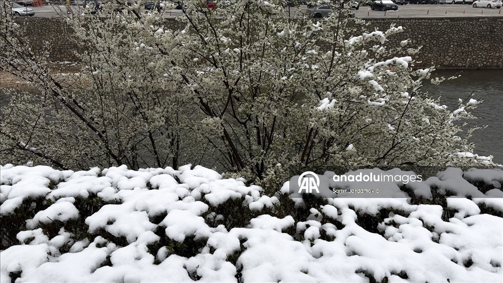 Snijeg prekrio behar u Sarajevu