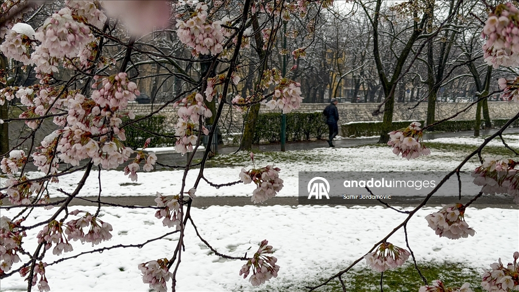 Snijeg prekrio behar u Sarajevu