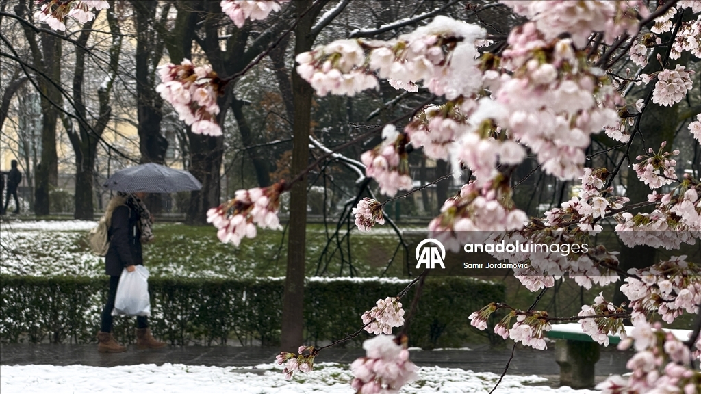 Snijeg prekrio behar u Sarajevu