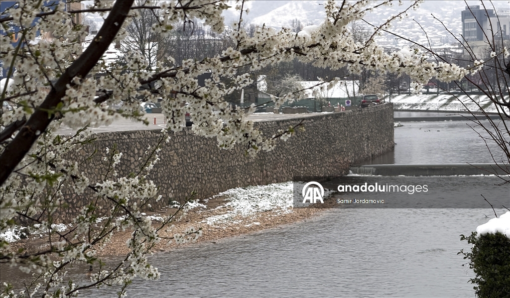 Snijeg prekrio behar u Sarajevu