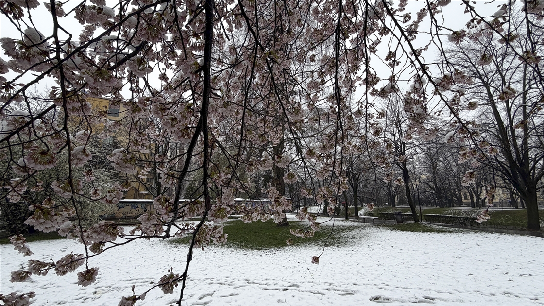 Snijeg prekrio behar u Sarajevu