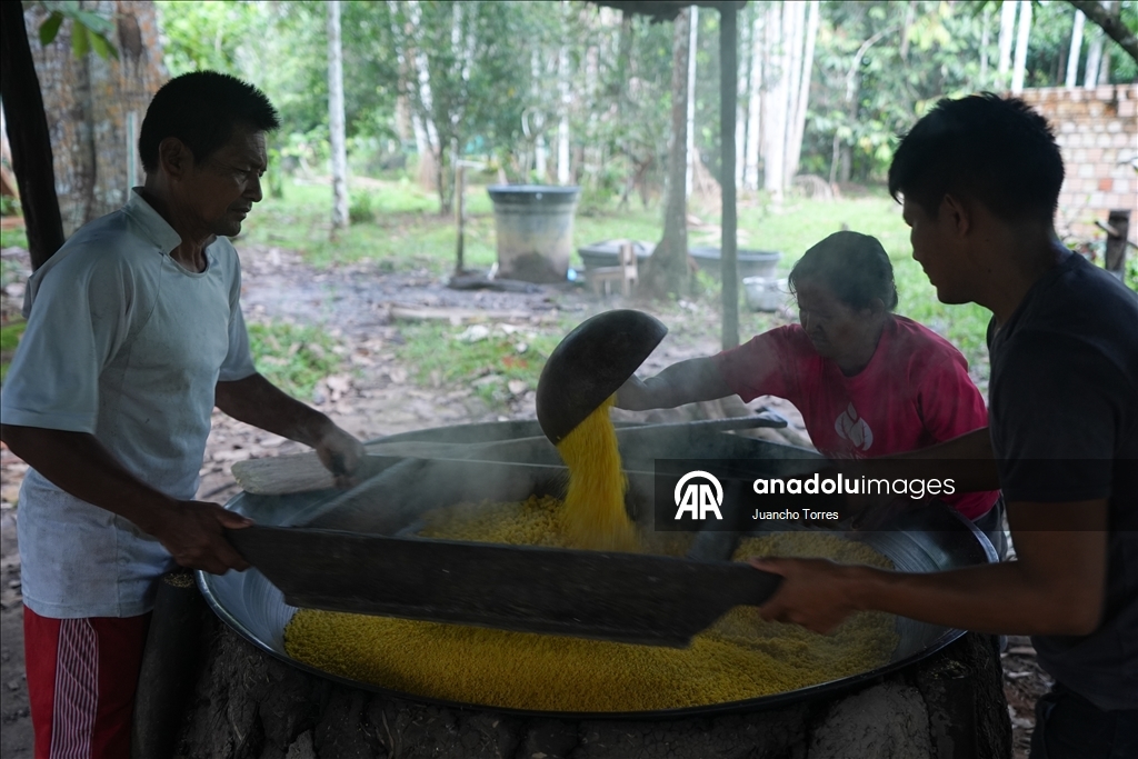 Kolombiya'nın güneyinde yaban hayatının kalbi: Leticia