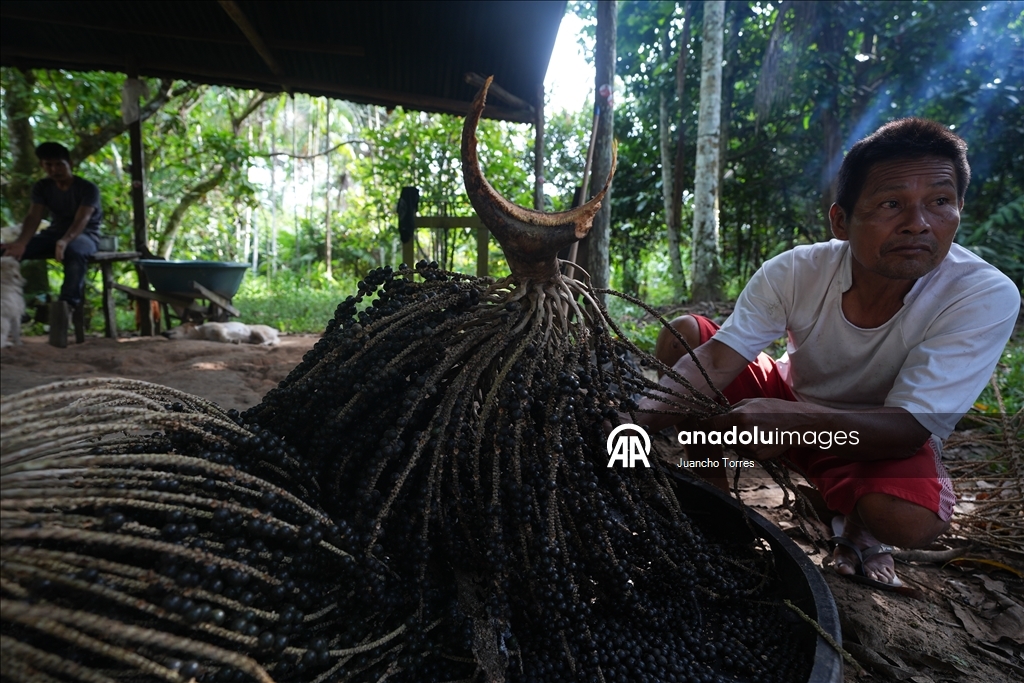 Kolombiya'nın güneyinde yaban hayatının kalbi: Leticia