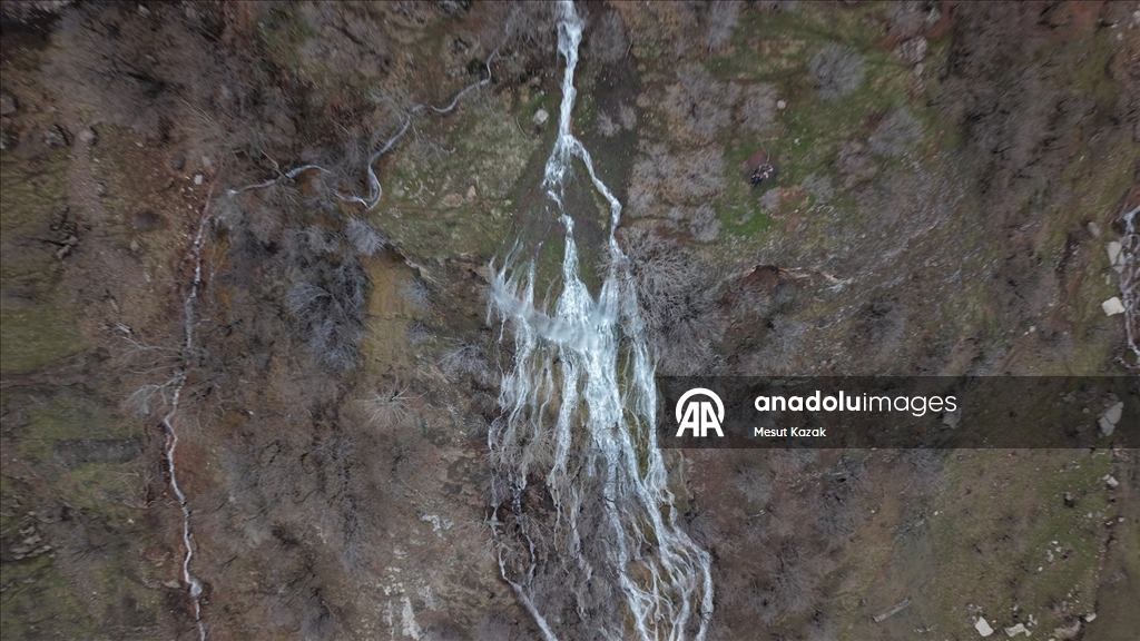 Hakkari'nin Derecik ilçesinde havanın ısınmasıyla doğa canlandı