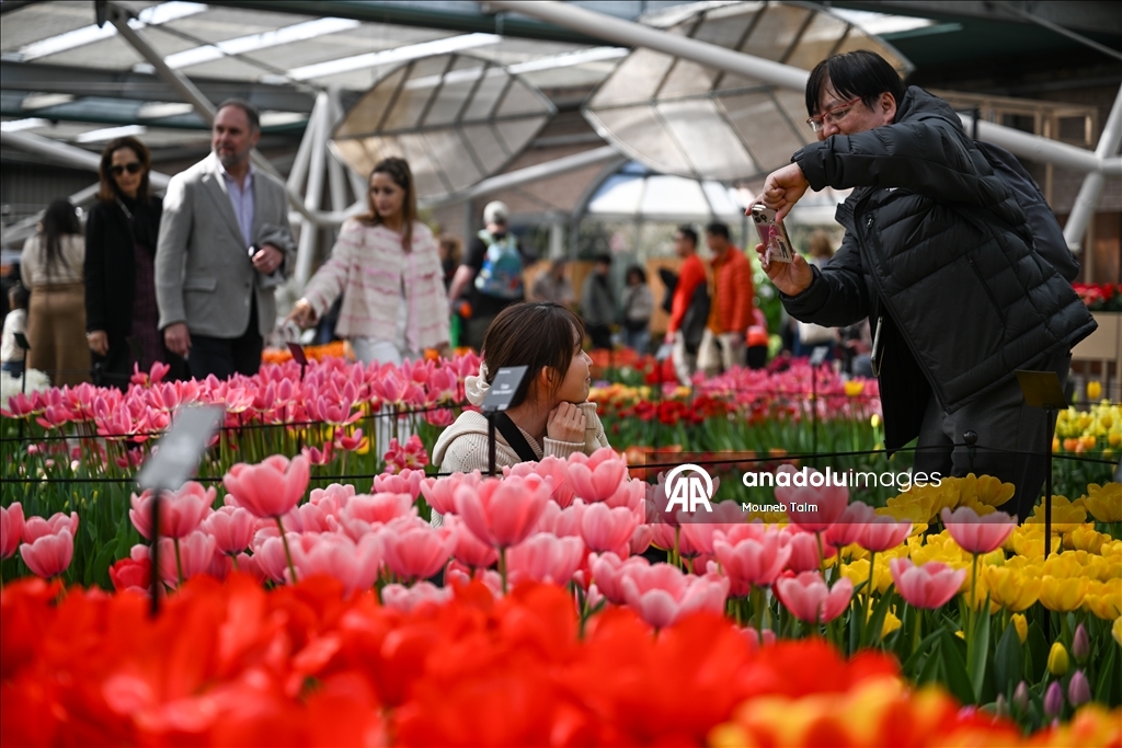 Dünyanın en büyük lale bahçesi Hollanda’da açıldı  9