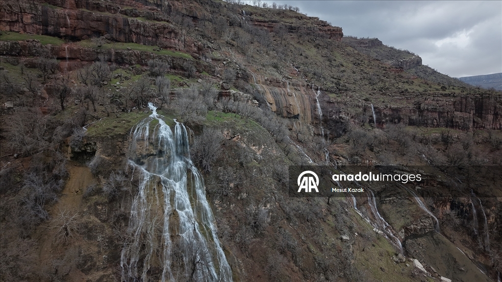 Hakkari'nin Derecik ilçesinde havanın ısınmasıyla doğa canlandı