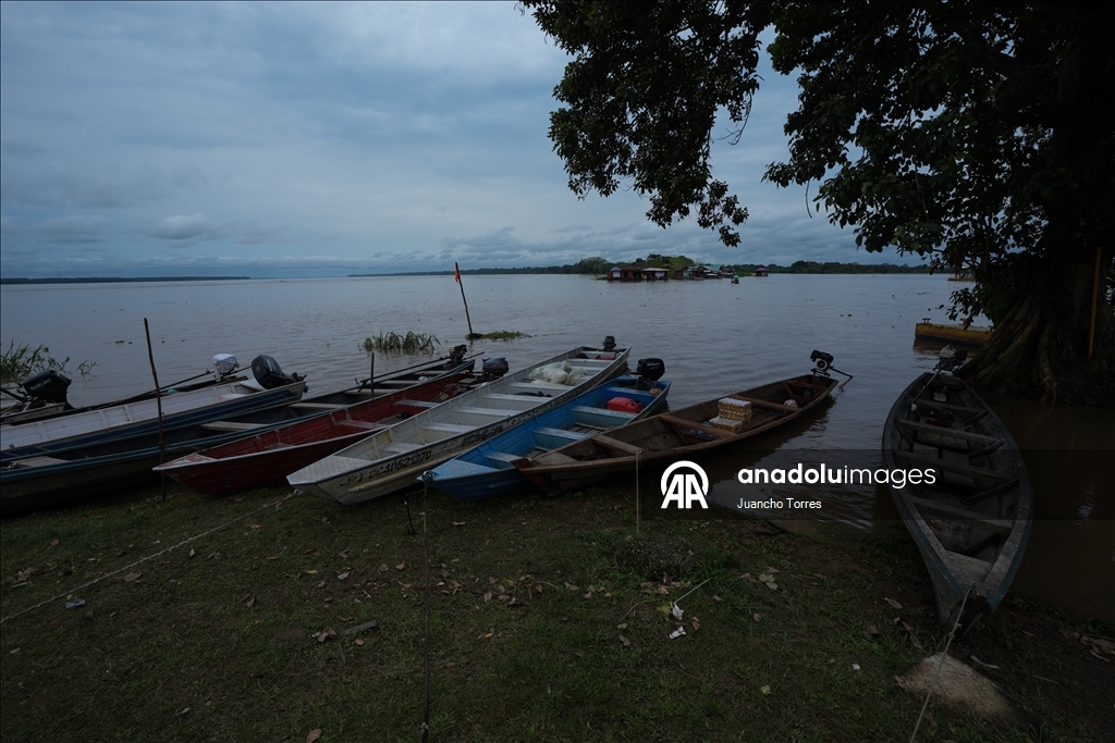 Kolombiya'nın güneyinde yaban hayatının kalbi: Leticia