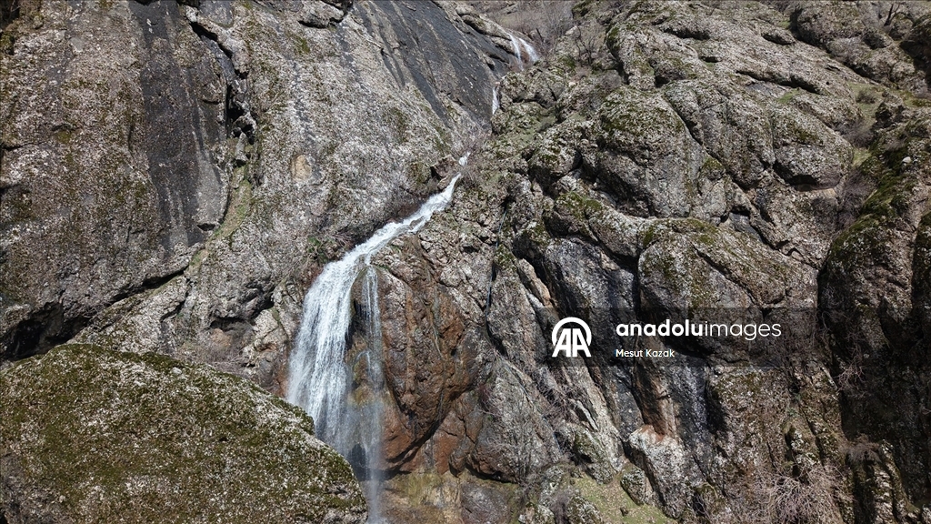 Hakkari'nin Derecik ilçesinde havanın ısınmasıyla doğa canlandı