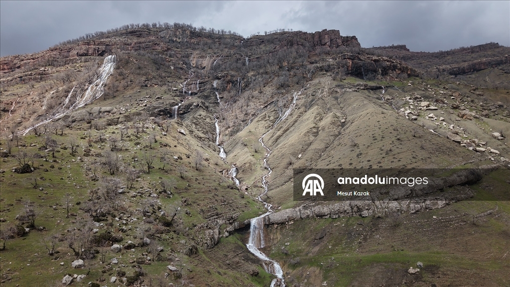Hakkari'nin Derecik ilçesinde havanın ısınmasıyla doğa canlandı