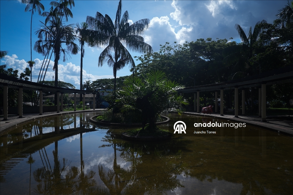 Kolombiya'nın güneyinde yaban hayatının kalbi: Leticia