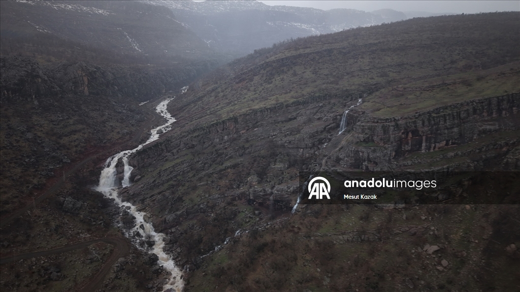 Hakkari'nin Derecik ilçesinde havanın ısınmasıyla doğa canlandı