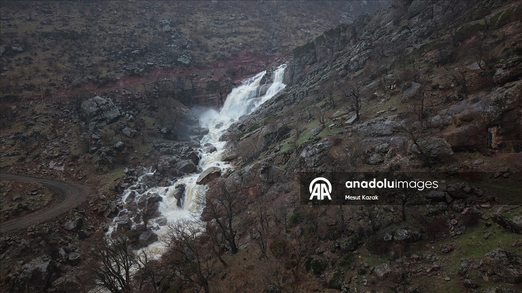 Hakkari'nin Derecik ilçesinde havanın ısınmasıyla doğa canlandı