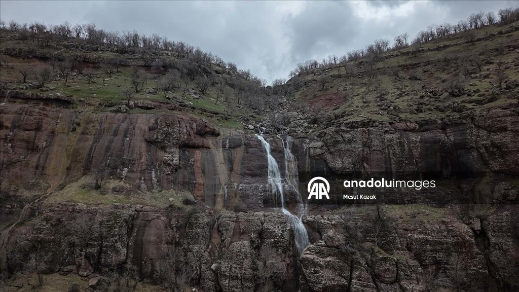 Hakkari'nin Derecik ilçesinde havanın ısınmasıyla doğa canlandı