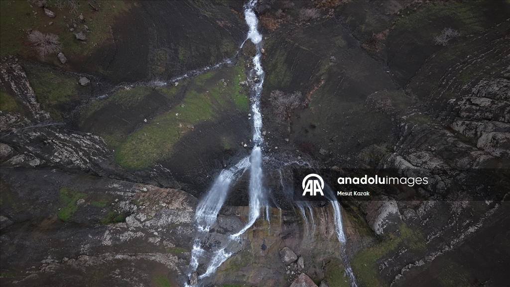 Hakkari'nin Derecik ilçesinde havanın ısınmasıyla doğa canlandı