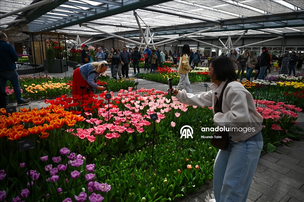 Dünyanın en büyük lale bahçesi Hollanda’da açıldı  1