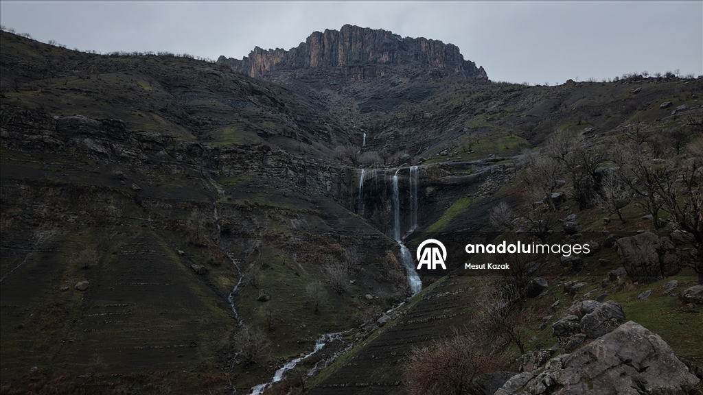 Hakkari'nin Derecik ilçesinde havanın ısınmasıyla doğa canlandı