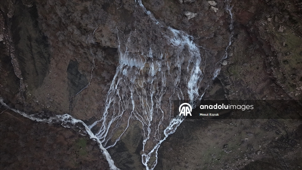Hakkari'nin Derecik ilçesinde havanın ısınmasıyla doğa canlandı