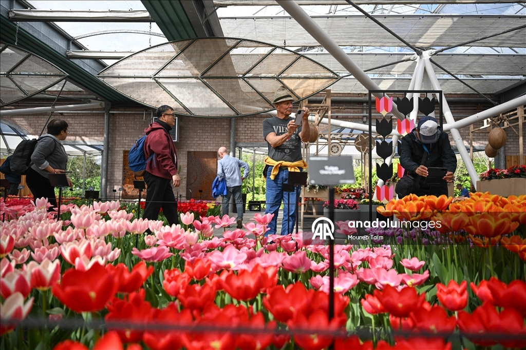 Dünyanın en büyük lale bahçesi Hollanda’da açıldı  6