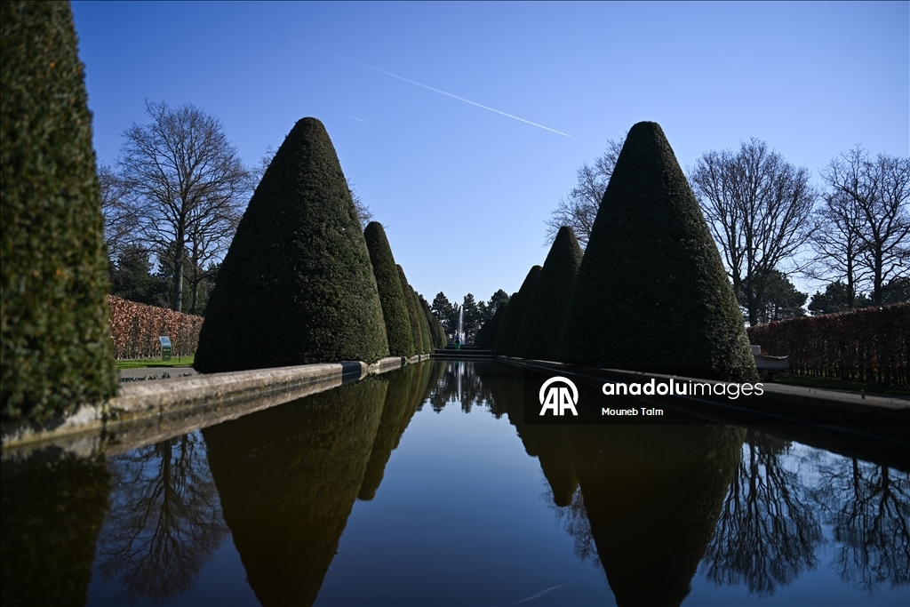 Крупнейший в мире парк тюльпанов открылся в Нидерландах