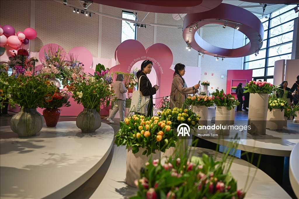 Крупнейший в мире парк тюльпанов открылся в Нидерландах