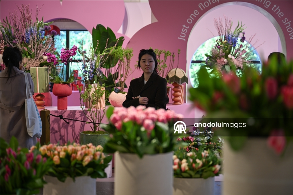 Крупнейший в мире парк тюльпанов открылся в Нидерландах