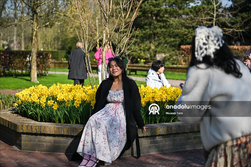 Крупнейший в мире парк тюльпанов открылся в Нидерландах