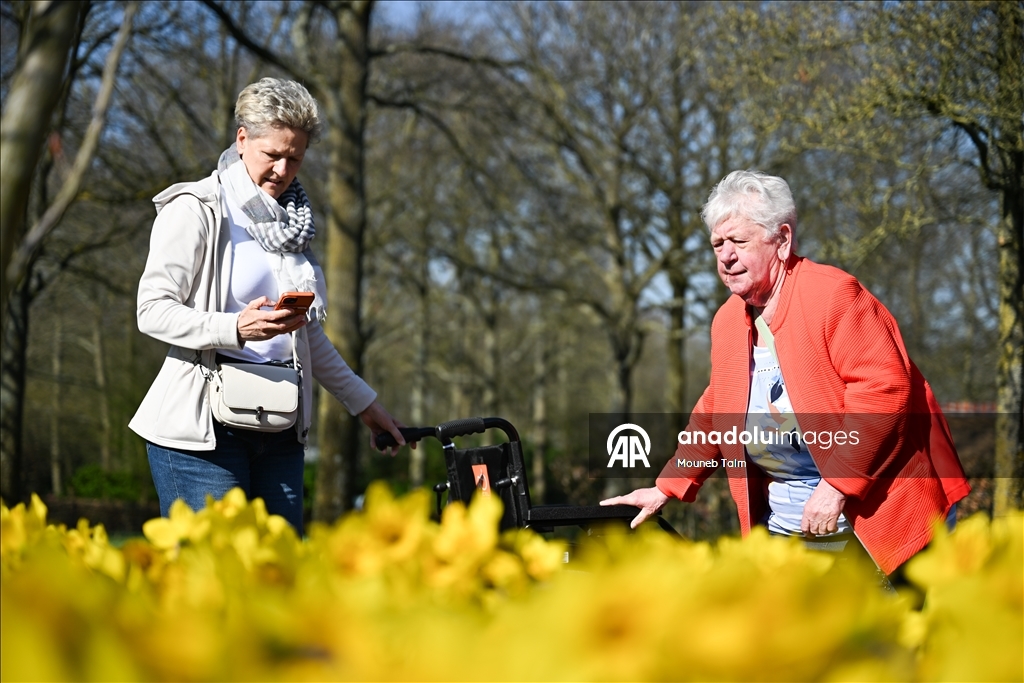 Крупнейший в мире парк тюльпанов открылся в Нидерландах