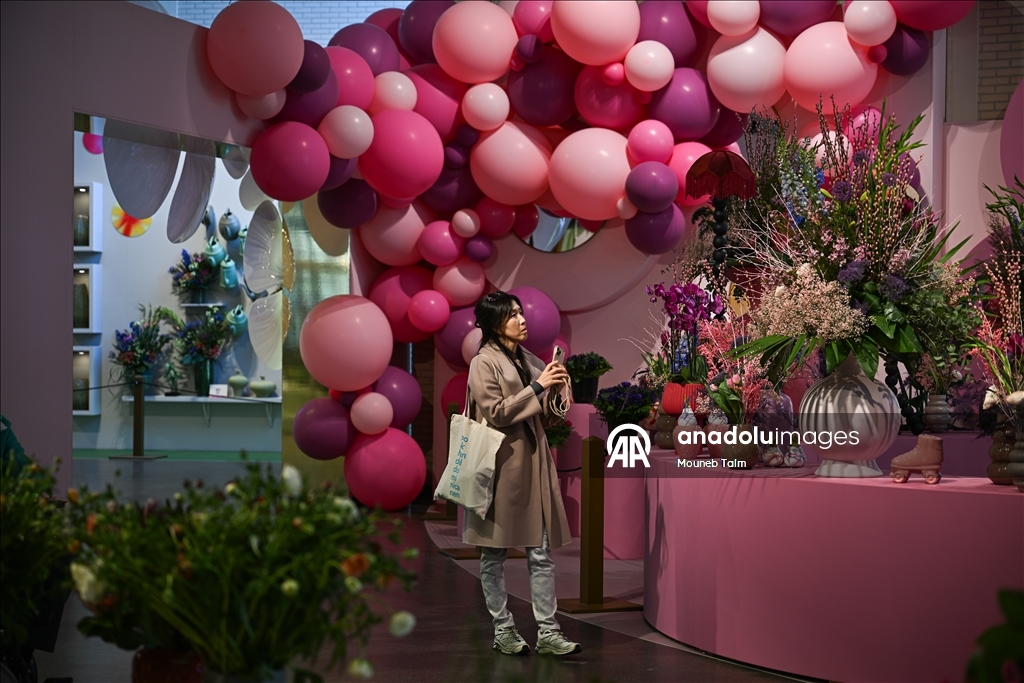 Крупнейший в мире парк тюльпанов открылся в Нидерландах