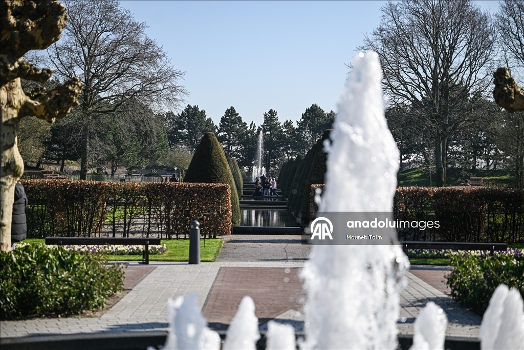 Крупнейший в мире парк тюльпанов открылся в Нидерландах