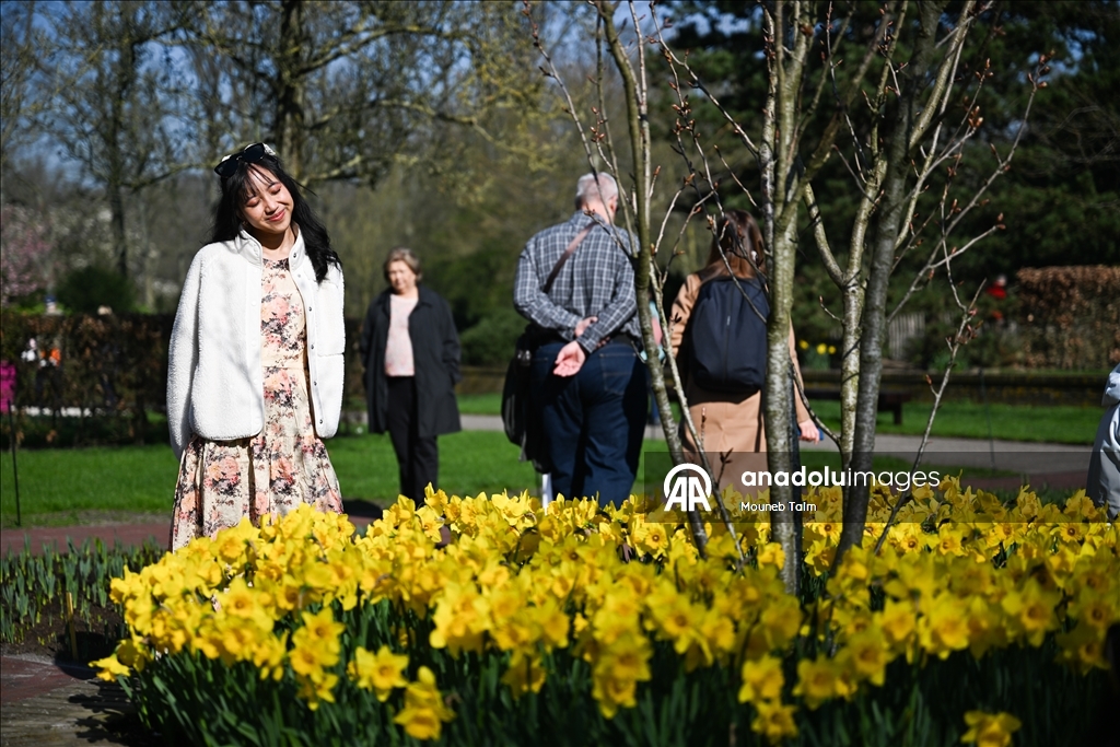 Крупнейший в мире парк тюльпанов открылся в Нидерландах