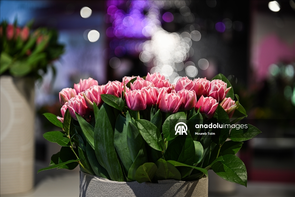 Крупнейший в мире парк тюльпанов открылся в Нидерландах