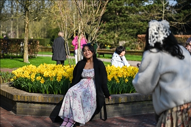 Крупнейший в мире парк тюльпанов открылся в Нидерландах