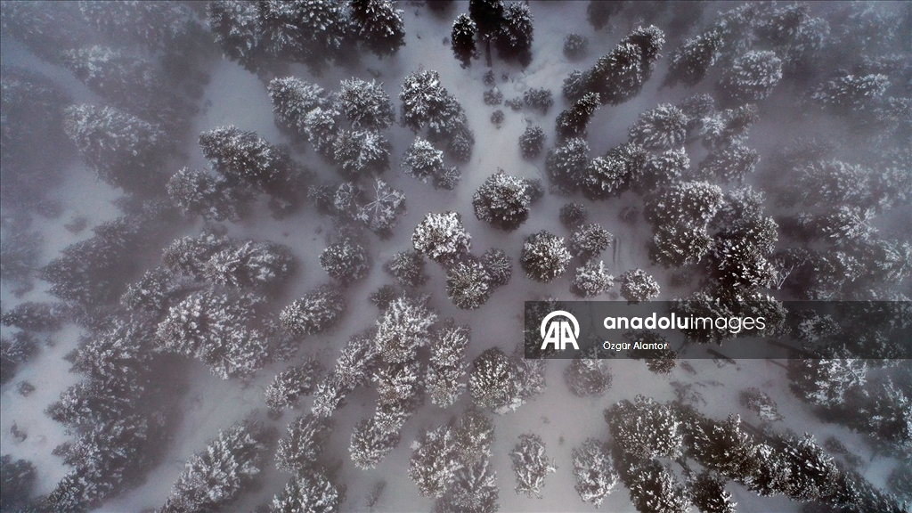 Ilgaz Dağı'nda sis havadan görüntülendi