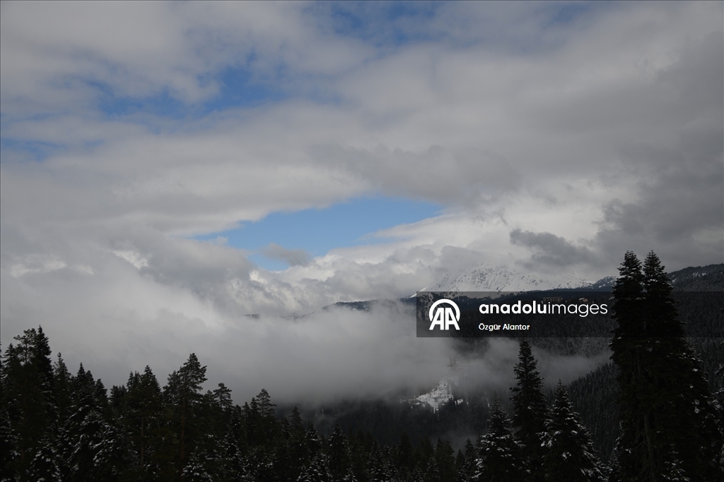 Ilgaz Dağı'nda sis havadan görüntülendi