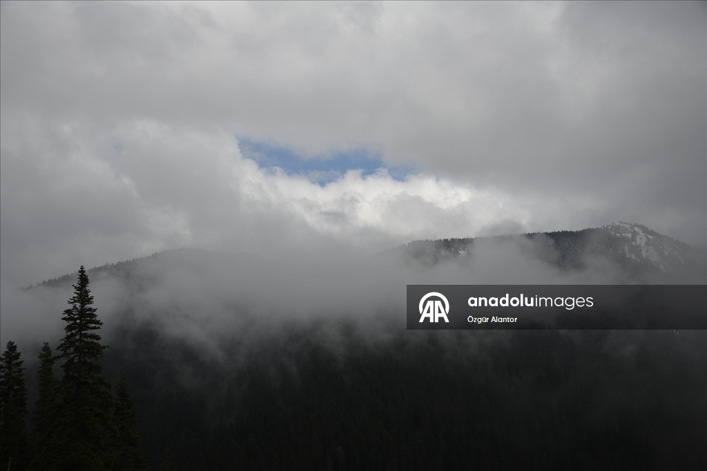 Ilgaz Dağı'nda sis havadan görüntülendi