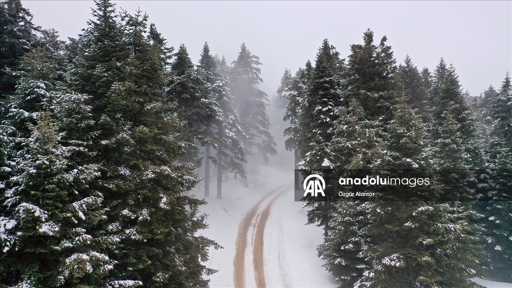 Ilgaz Dağı'nda sis havadan görüntülendi