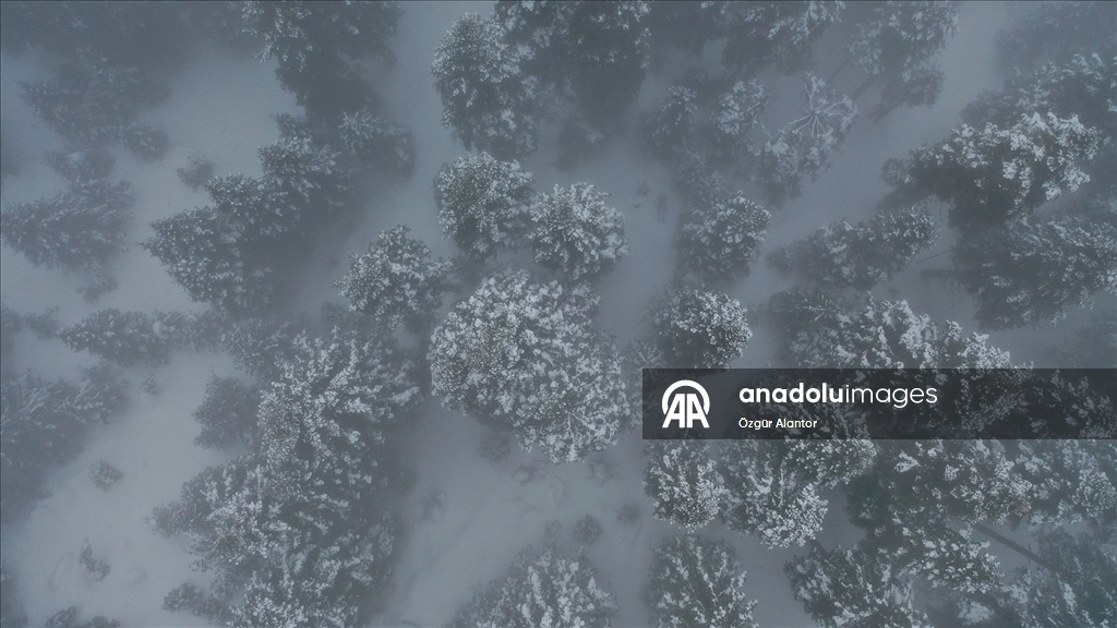 Ilgaz Dağı'nda sis havadan görüntülendi