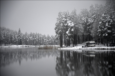 Düzce'deki Topuk Yaylası karla kaplandı