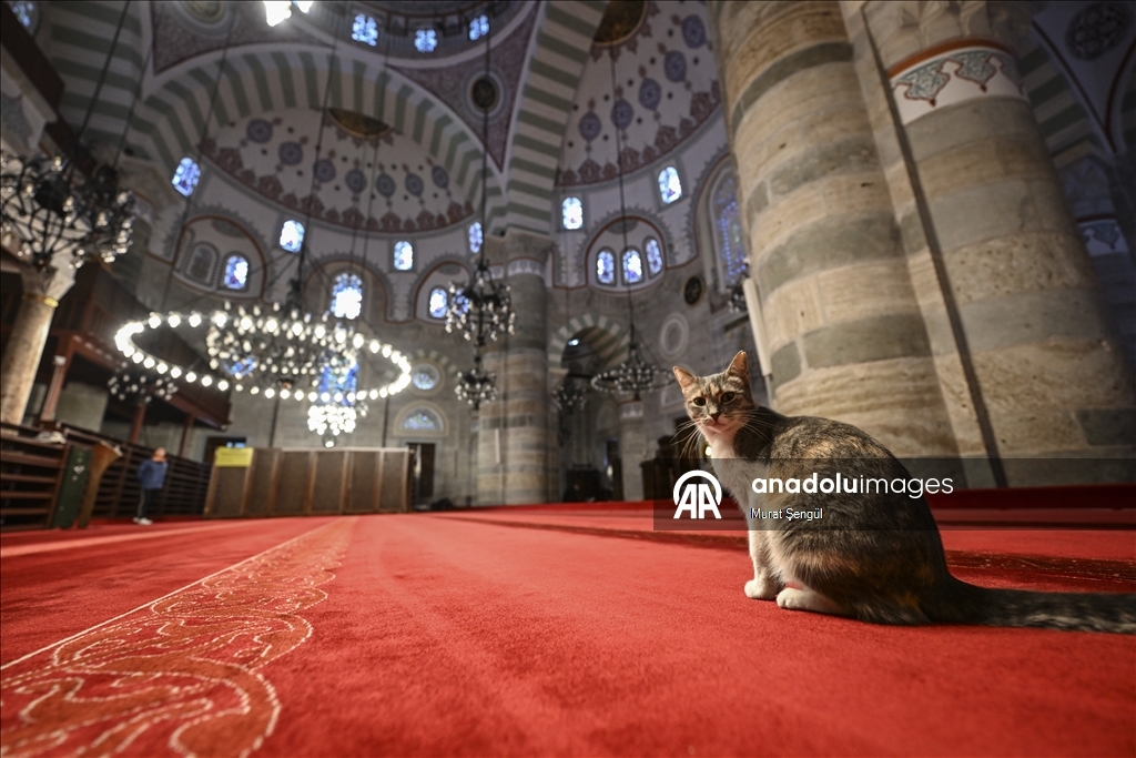 МЕЧЕТИ СТАМБУЛА «СЕЛАТИН» - Творение Мимара Синана с видом на Босфор: мечеть Михримах Султан