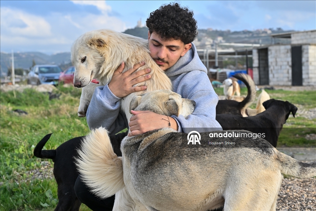 Молодой ливанец спасает «брошенных на произвол судьбы животных» в районах, подвергающихся израильским атакам