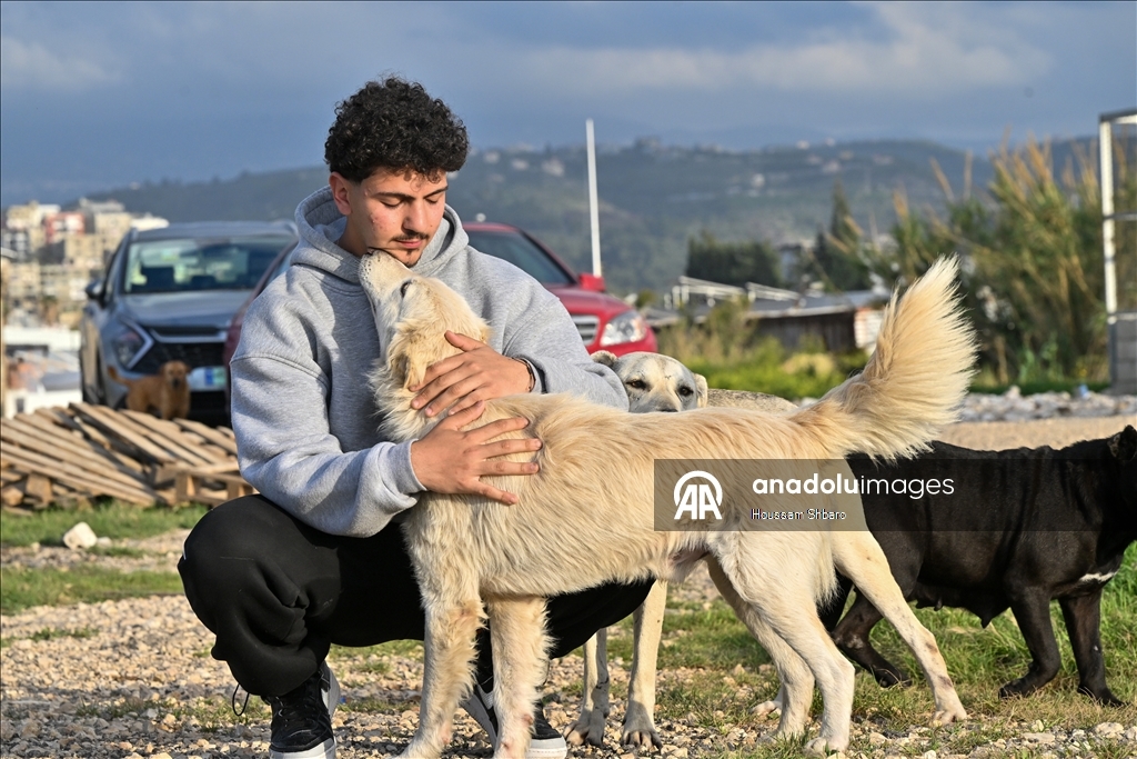 Молодой ливанец спасает «брошенных на произвол судьбы животных» в районах, подвергающихся израильским атакам