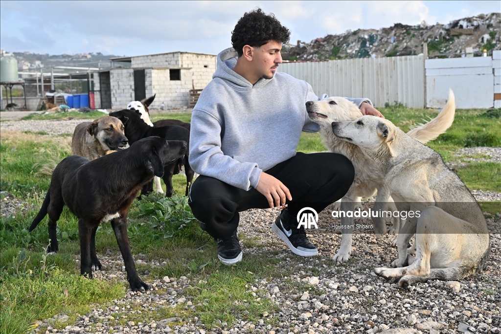 Молодой ливанец спасает «брошенных на произвол судьбы животных» в районах, подвергающихся израильским атакам
